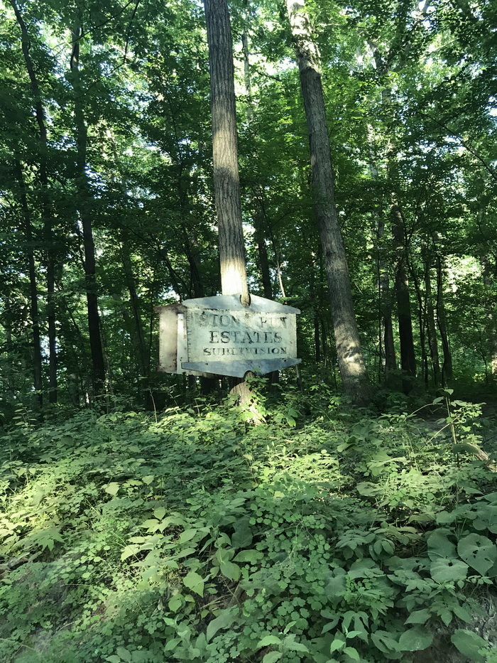 Stony Run - July 2020 Photo (newer photo)